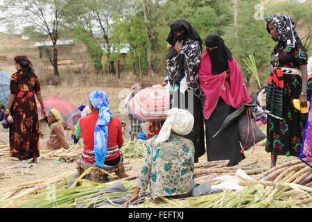 SENBETE, Ethiopie-24 mars : des femmes de la vente de la canne à sucre dans une stalle de la marché du dimanche où l'Amhara afar-oromo-peuples rencontrez Banque D'Images