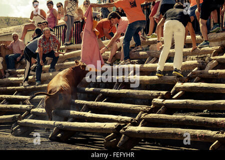 Corrida dans la place de la ville de Igea, La Rioja, Espagne Banque D'Images