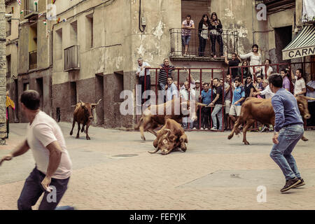 Courses de taureaux dans les rues d'Igea, village de La Rioja, Espagne Banque D'Images