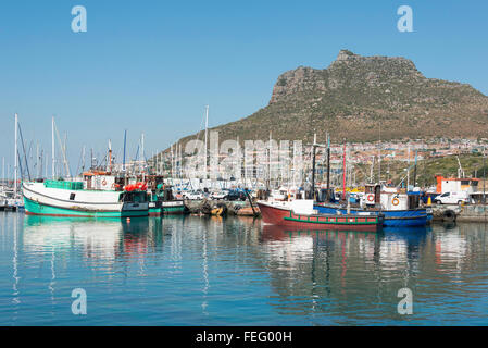 Bateaux de pêche au port, Hout Bay, péninsule du Cap, ville du Cap, dans l'ouest de la municipalité de la Province du Cap, Afrique du Sud Banque D'Images