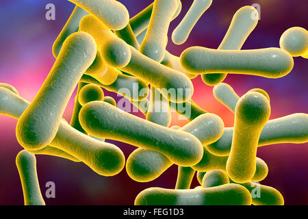 Corynebacterium diphtheriae, illustration de l'ordinateur. C. diphtheriae est une bactérie gram-positif en forme de bâtonnet qui est transmis Banque D'Images