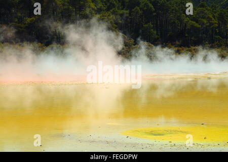 Champagne Pool dans le magnifique et étonnante de paysages géothermiques Wai-O-Tapu zone thermale, Rotorua, Nouvelle-Zélande. Banque D'Images