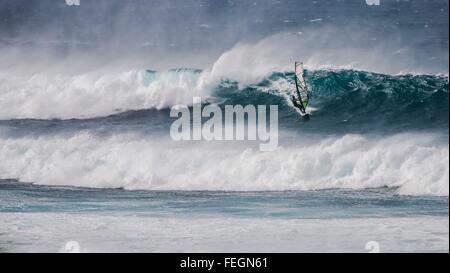 Un windsurfer rides les vagues en face de l'Hoʻokipa Beach sur l'île de Maui, Hawaii (USA) Banque D'Images