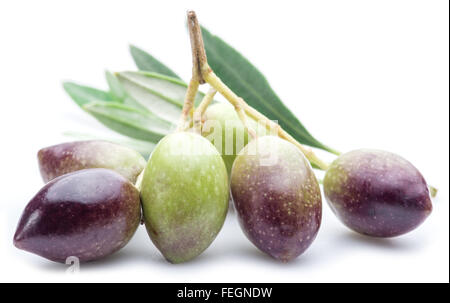 Olives fraîches avec des feuilles sur le fond blanc. Banque D'Images
