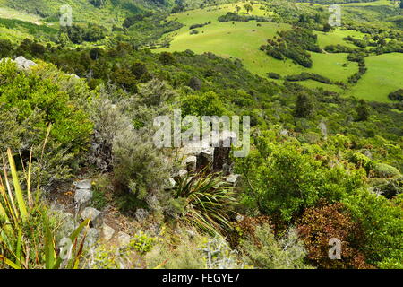 Les tuyaux d'orgue à Mount Cargill, Dunedin, Nouvelle-Zélande. Ces colonnes polygonales sont un vestige de l'activité volcanique dans la région. Banque D'Images