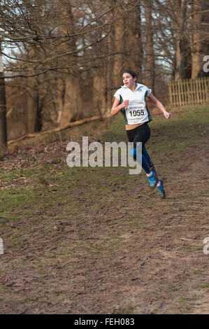 L'Assemblée Knole Run Sevenoaks School cross country mile run jeunes équipes en course d'endurance difficile course leader gagnant muddy Banque D'Images