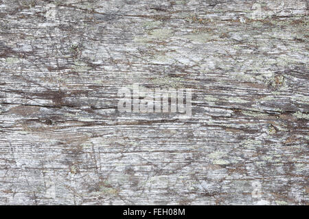 De gris naturel wood background Banque D'Images