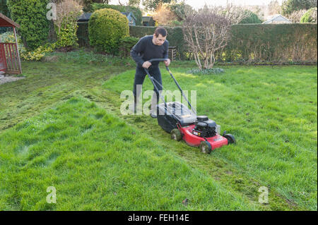 Première coupe de pelouse de l'année mal après l'hiver doux et l'herbe haute de la croissance sur une tondre le gazon avec une coupe d'essence Banque D'Images