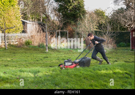 Première coupe de pelouse de l'année mal après l'hiver doux et l'herbe haute de la croissance sur une tondre le gazon avec une coupe d'essence Banque D'Images