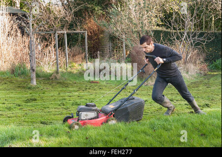 Première coupe de pelouse de l'année mal après l'hiver doux et l'herbe haute de la croissance sur une tondre le gazon avec une coupe d'essence Banque D'Images