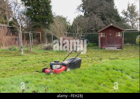 Première coupe de pelouse de l'année mal après l'hiver doux et l'herbe haute de la croissance sur une tondre le gazon avec une coupe d'essence Banque D'Images