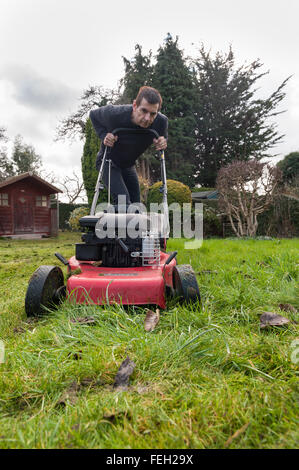 Première coupe de pelouse de l'année mal après l'hiver doux et l'herbe haute de la croissance sur une tondre le gazon avec une coupe d'essence Banque D'Images