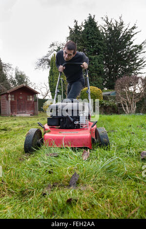 Première coupe de pelouse de l'année mal après l'hiver doux et l'herbe haute de la croissance sur une tondre le gazon avec une coupe d'essence Banque D'Images