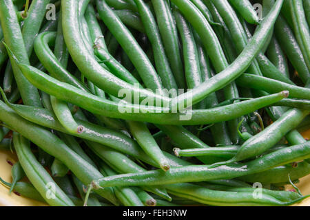 Haricots verts frais dans une passoire Banque D'Images