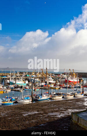 Un assortiment de différentes couleurs et tailles de bateaux de pêche dans le port de Newlyn, Cornwall, England, UK Banque D'Images