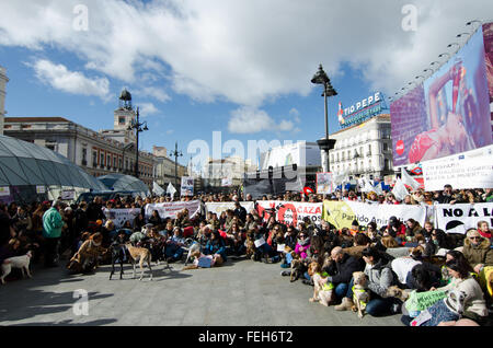 Madrid, Espagne. 7 Février, 2016. Des milliers de manifestants à la place Puerta del Sol à Madrid pour protester contre la chasse à l'aide de chiens. Credit : Valentin/Sama-Rojo Alamy Live News.