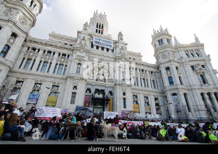 Madrid, Espagne. 7 Février, 2016. Les manifestants se sont réunis à l'Hôtel de ville de Madrid pour protester contre la chasse à l'aide de chiens pendant la manifestation qui a eu lieu à Madrid. Credit : Valentin/Sama-Rojo Alamy Live News.