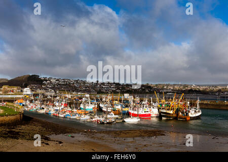 Un assortiment de différentes couleurs et tailles de bateaux de pêche dans le port de Newlyn, Cornwall, England, UK Banque D'Images