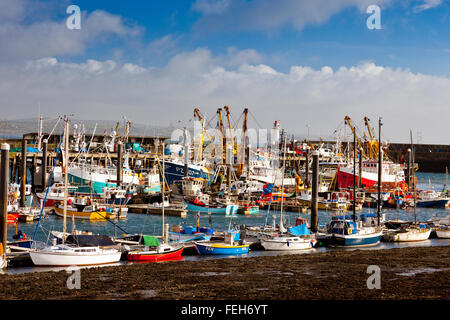 Un assortiment de différentes couleurs et tailles de bateaux de pêche dans le port de Newlyn, Cornwall, England, UK Banque D'Images