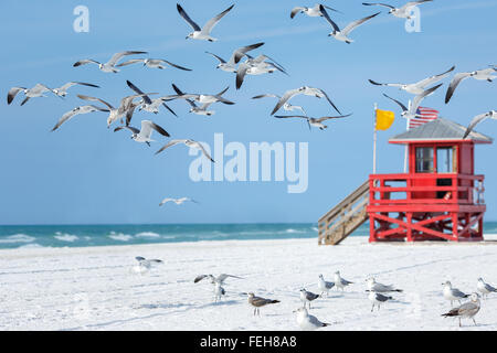 En bois rouge lifeguard hut on an empty beach matin Banque D'Images