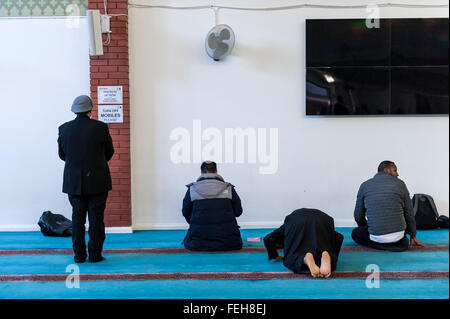 Londres, Royaume-Uni. 7 février 2016. Des fidèles dans la salle de prière. La East London Mosque et London Centre musulman, au coeur de Tower Hamlets, et le foyer de la plus grande communauté musulmane du Royaume-Uni, vous ouvre ses portes dans le cadre de la mosquée 'Visiter mon Day', une initiative nationale facilitée par le Conseil musulman de Grande-Bretagne, où des mosquées à travers le Royaume-Uni organisent des journées portes ouvertes pour permettre à l'opinion publique britannique pour voir ce qui se passe dans une mosquée et de comprendre son rôle dans la vie musulmane. Crédit : Stephen Chung / Alamy Live News Banque D'Images