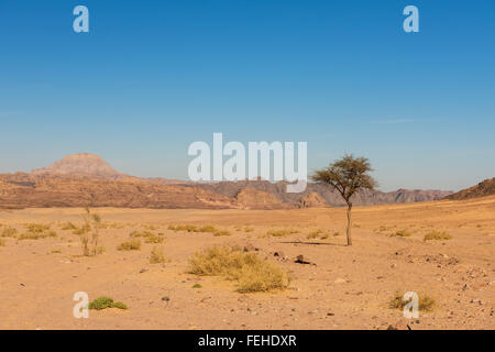 Paysage du désert du Sinaï Banque D'Images