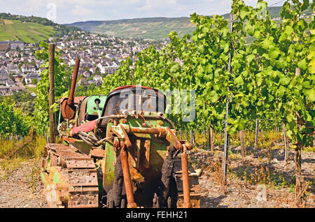 Vallée de la Moselle - Allemagne : vue de vignes près de la ville de Bernkastel Kues Banque D'Images