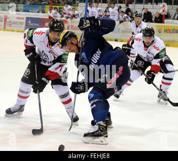 Munich, Bavière, Allemagne. 7 Février, 2016. de gauche Andreas FALK (Koeln/SWE), Alexander BARTA (Ingolstadt), .le hockey sur glace allemand Eishockey League, journée, 44 ERC Ingolstadt vs Koelner Haie, Ingolstadt, Saturn-Arena, le 07 février, les deux f, 2016 © Wolfgang Fehrmann/ZUMA/Alamy Fil Live News Banque D'Images