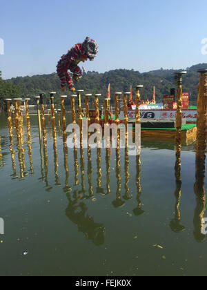 Foshan, la province chinoise du Guangdong. Feb 8, 2016. Un dragon aquatique et danse du lion a lieu pendant la Fête du Printemps anniversaire à Nanhai District à Foshan, Province du Guangdong en Chine du sud, le 8 février 2016. Credit : Zhuang Jin/Xinhua/Alamy Live News Banque D'Images