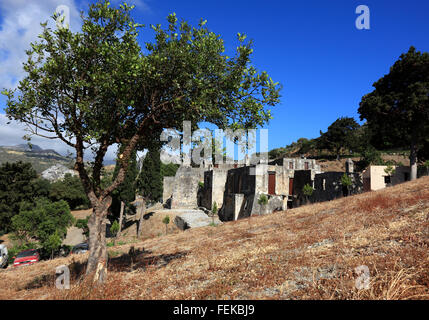 Crète, olivier avant le reste de l'ancien cloître du monastère de Preveli, ruine Moni Preveli, dans le sud de l'île Banque D'Images