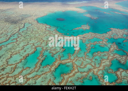 Vue aérienne de la Grande Barrière de Corail, Whitsunday Islands, Queensland, Australie Banque D'Images