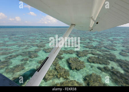 Whitsunday Air Seaplane voler au-dessus de la Grande Barrière de Corail, Whitsunday Islands, Queensland, Australie Banque D'Images