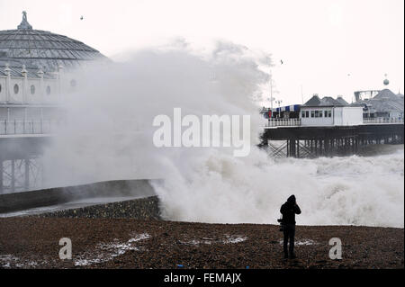 Brighton, UK. 8 Février, 2016. Météo France : d'énormes vagues se briser sur le front de mer de Brighton à marée haute par l'embarcadère que Storm Imogen batters la côte sud aujourd'hui avec les prévisions météorologiques La prévision des vents de jusqu'à 90 mph causant des inondations et des dommages Crédit : Simon Dack/Alamy Live News Banque D'Images