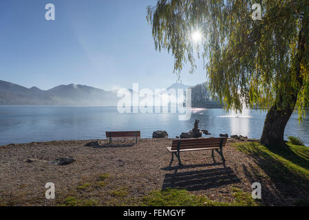 Deux bancs vides sous un saule au bord du lac Tegernsee dans le soleil du matin sur un matin d'automne, Bad Wiessee, Bavière, Allemagne Banque D'Images