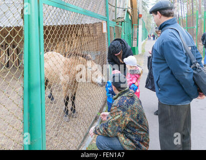 Orel (Russie) - 18 octobre 2015 : les enfants avec les parents nourrissent les animaux dans le Parc National de Polésie' 'Orlovskoye Banque D'Images