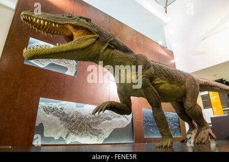 Musée des fossiles de dinosaures dans la région de Meride, Site du patrimoine mondial de l'Monte San Giorgio, Tessin, Suisse Banque D'Images