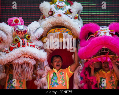 Bangkok, Thaïlande. Feb 8, 2016. Les spectacles de danse du lion du quartier chinois de Bangkok au cours de la célébration de la nouvelle année lunaire. Le Nouvel An chinois est aussi appelé fête du Nouvel An ou Tet (en vietnamien). Cette année est le ''année du singe.'' La Thaïlande a la plus grande population chinoise d'outre-mer dans le monde, environ 14  % des Thaïlandais sont d'origine chinoise et certains jours fériés chinois le Nouvel An chinois, en particulier, sont largement célébré en Thaïlande. Crédit : Jack Kurtz/ZUMA/Alamy Fil Live News Banque D'Images