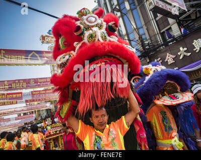 Bangkok, Thaïlande. Feb 8, 2016. Les spectacles de danse du lion pour le Nouvel An chinois sur Yaowarat Road, dans le quartier chinois de Bangkok, au cours de la célébration de la nouvelle année lunaire. Le Nouvel An chinois est aussi appelé fête du Nouvel An ou Tet (en vietnamien). Cette année est le ''année du singe.'' La Thaïlande a la plus grande population chinoise d'outre-mer dans le monde, environ 14  % des Thaïlandais sont d'origine chinoise et certains jours fériés chinois le Nouvel An chinois, en particulier, sont largement célébré en Thaïlande. Crédit : Jack Kurtz/ZUMA/Alamy Fil Live News Banque D'Images