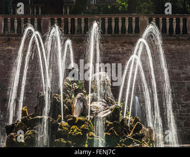 Fontaine de Neptune dans l'Hortus Palatinus dans les jardins du château de Heidleberg. Banque D'Images