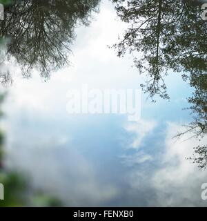 Flaque d'eau à l'envers avec reflet de ciel bleu et arbres Banque D'Images