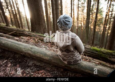 Young Woman sitting on tree trunk en forêt, Tegernsee, Bavière, Allemagne Banque D'Images