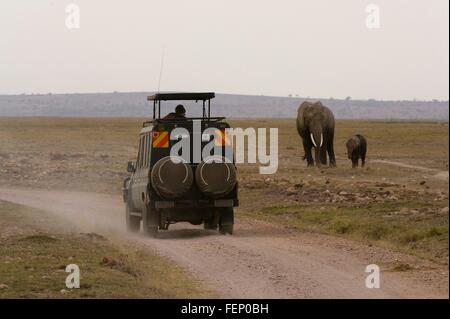 Véhicule de Safari par l'éléphant (Loxodonta africana), le Parc national Amboseli, Kenya, Africa Banque D'Images