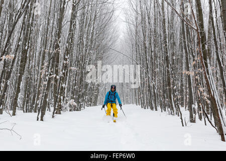 Sofia, Bulgarie - Février 5, 2016 : Un skieur est ski entre les arbres dans une forêt enneigée de la montagne en hiver. Banque D'Images