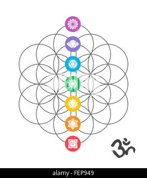 Les icônes colorées, chakras principaux sur Fleur de vie. Illustration avec la géométrie sacrée om fait main décoration calligraphie. EPS10 Illustration de Vecteur