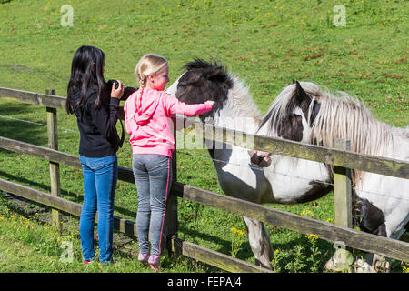 Deux jeunes filles avc les chevaux' muselières une clôture à un champ de chevaux Banque D'Images