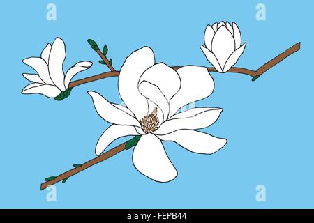 Magnolia fleurs blanches sur fond bleu (faites à la main) Illustration de Vecteur