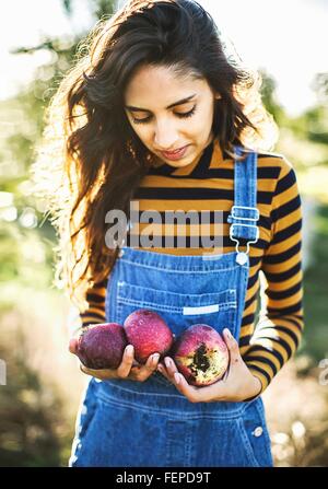 Jeune femme, en milieu rural, holding apples Banque D'Images