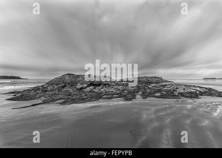 Marée basse avec raven, BW, Chesterman Beach, Tofino, Colombie-Britannique Banque D'Images