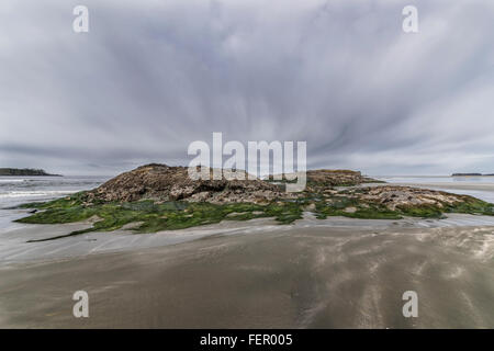 Marée basse avec raven, Chesterman Beach, Tofino, Colombie-Britannique Banque D'Images