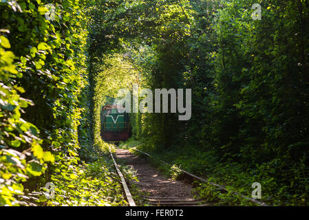 Train de marchandises transportent du bois passe par un tunnel naturel appelé "tunnel de l'amour' dans la région de Rovno, Klevan, Ukraine Banque D'Images